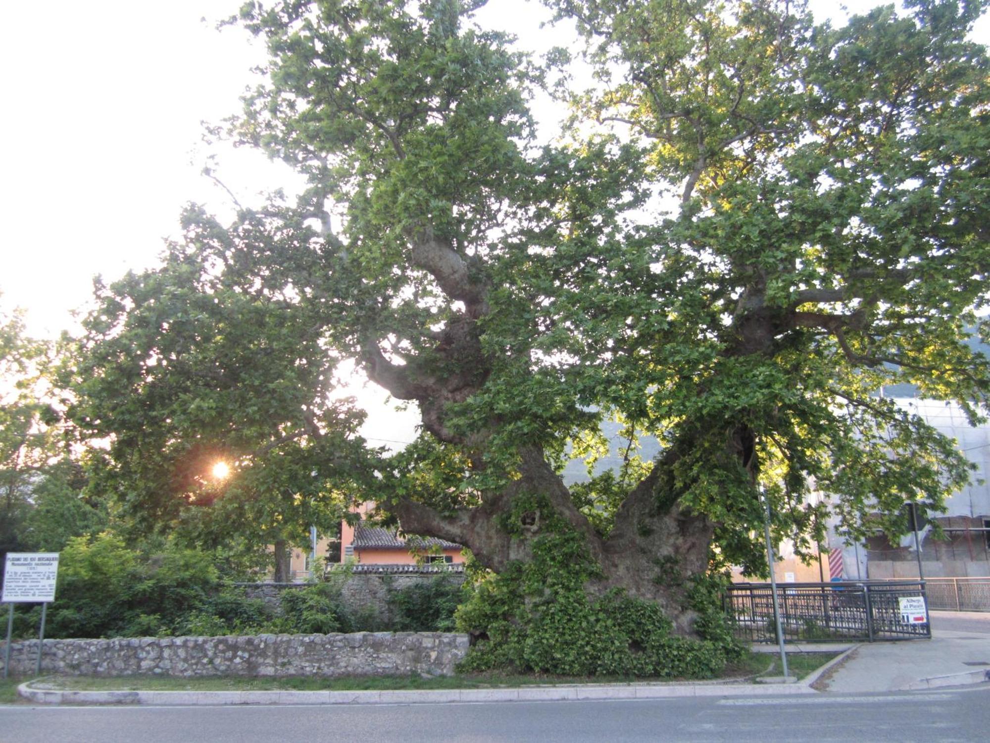 Albergo Al Platano Caprino Veronese Exterior foto